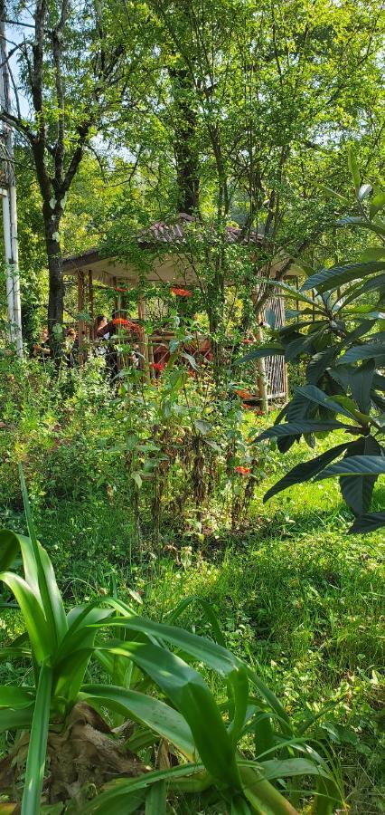 Villa Gelati Кутаиси Екстериор снимка